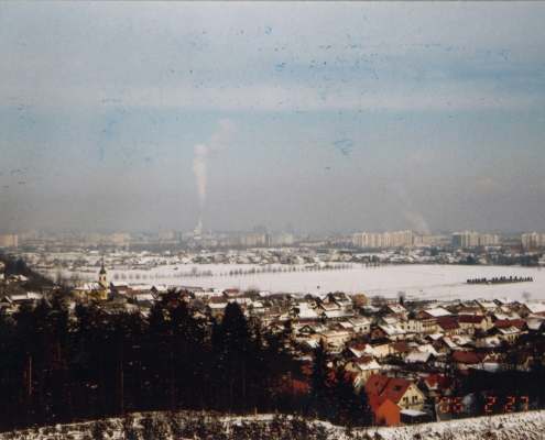 Bizovik