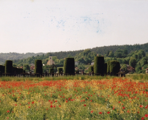 Bizovik