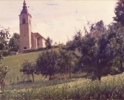 Bizovik
