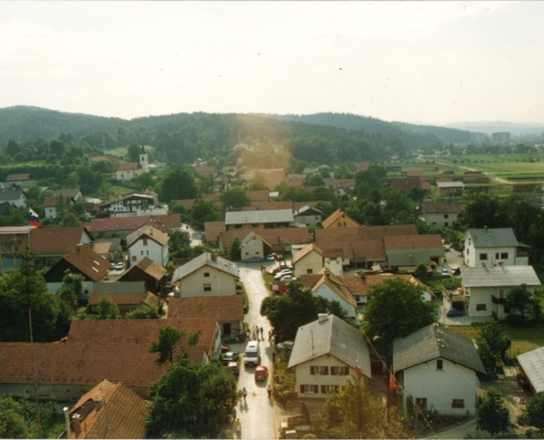 Bizovik
