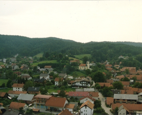 Bizovik