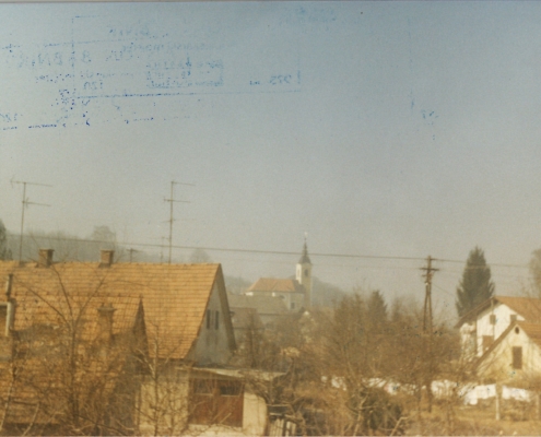 Bizovik